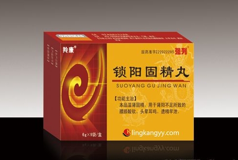 锁阳固精丸6g*9袋/盒/200盒/件本品温肾固精用于肾阳不足所致的腰膝