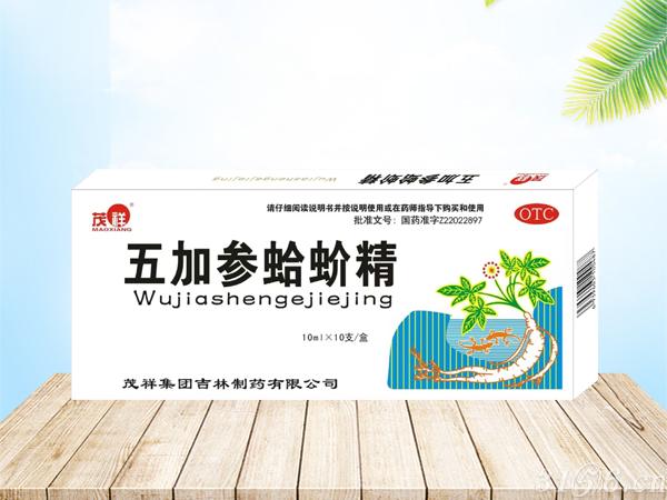 茂祥 五加參蛤蚧精招商