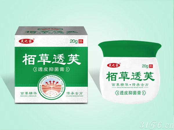 栢草透芙透皮抑菌膏